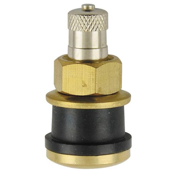 TR575 Clamp-In Truck Tire Valve 1.13" Straight Stubby Rim Metal Replacement 100 Pack for Heavy Duty Trucks