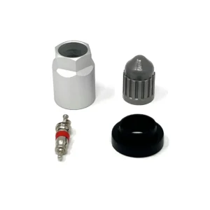 TPMS Service Kit 1080K 6-103 For Schrader Gen 2/3 10 Box