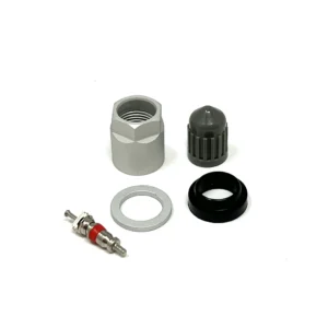 TPMS Service Kit 1110K 6-116T For Pacific LFB1 LFC1 10 Box