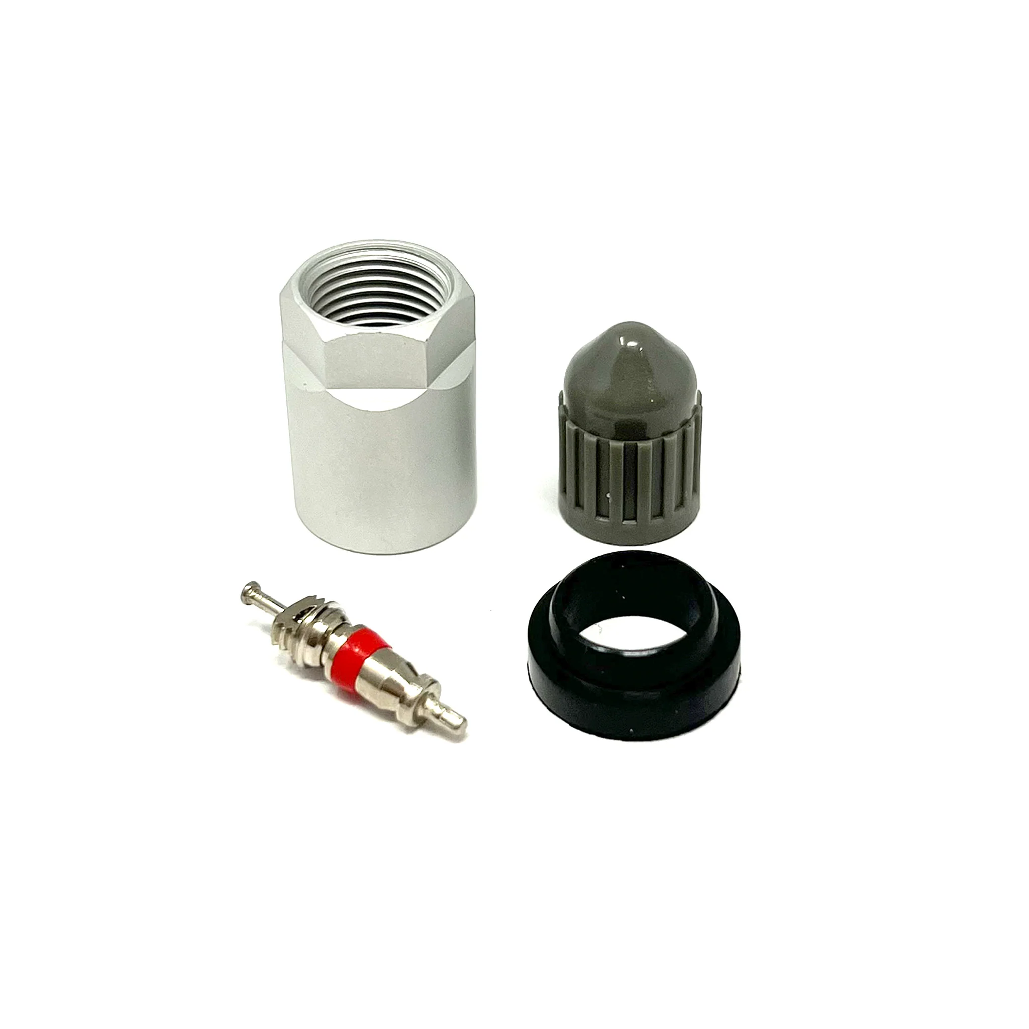 TPMS Service Kit 2030K 6-120 for Schrader Gen Alpha 10 Box
